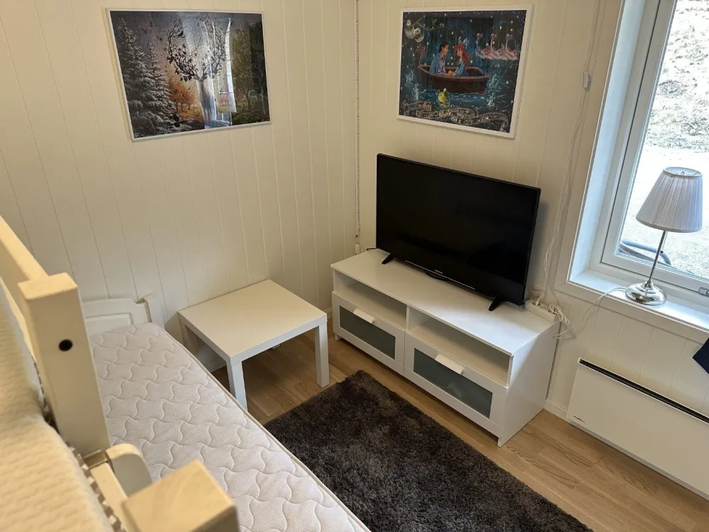 Tråstølsvegen 496