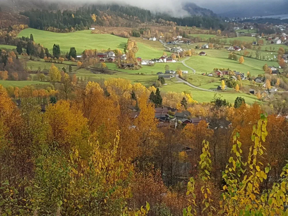 Bavallstunet 169