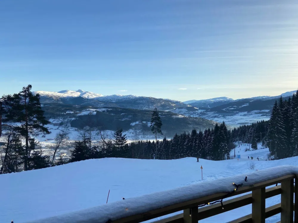 Tråstølsvegen 302