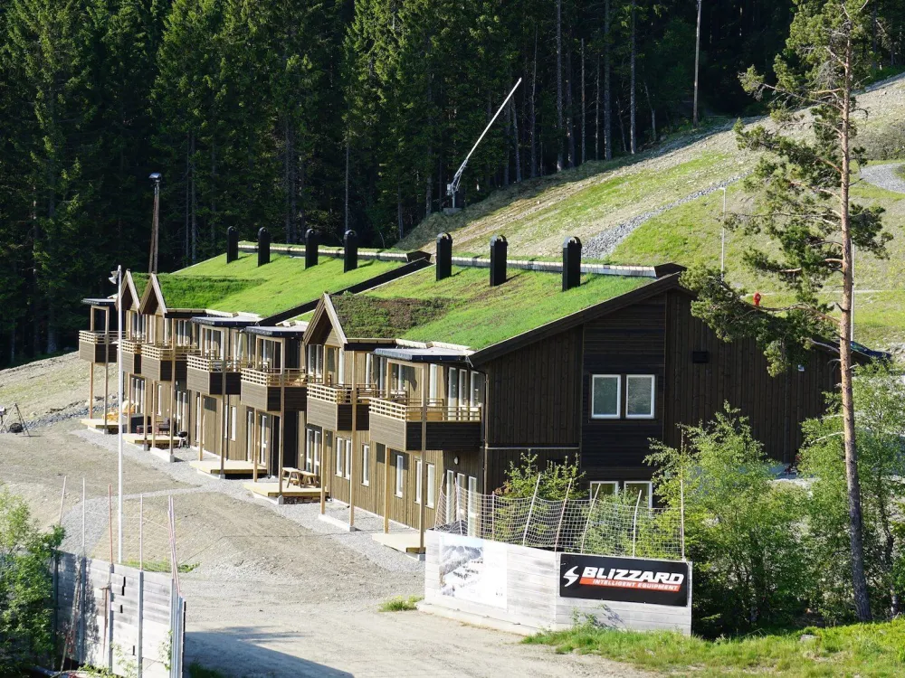 Tråstølsvegen 312