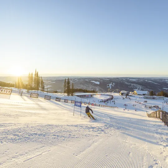 Skiing